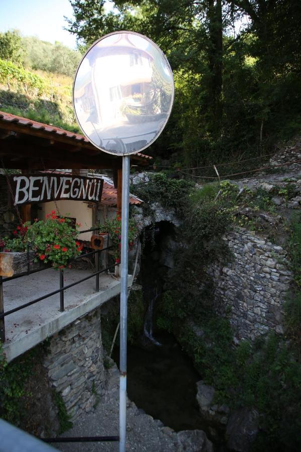Pieve di TecoA Ca Du Barbijun别墅 外观 照片